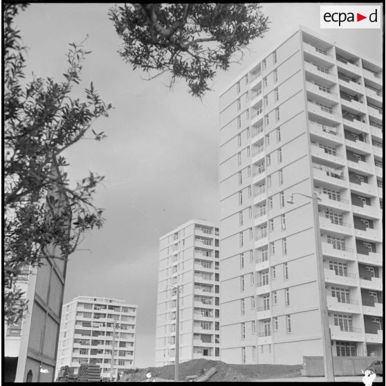 Bône. Construction de buildings.