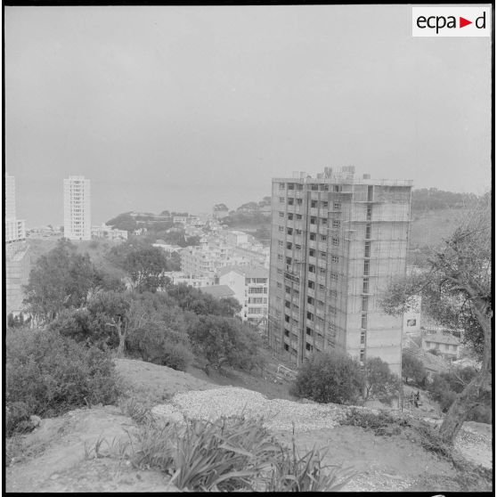 Bône. Construction de buildings.