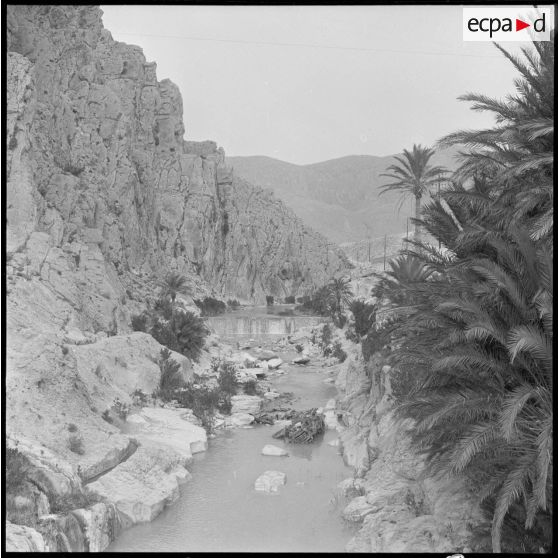 Bône. Une rivière.