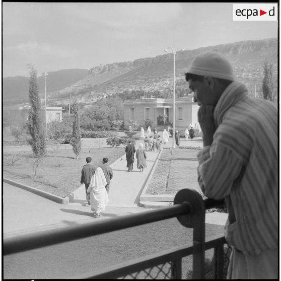 Tlemcen. Hôpital civil. Jardins.