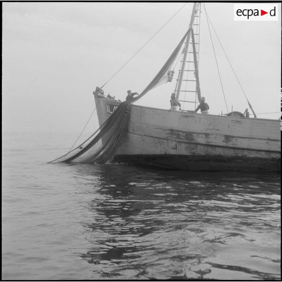 Alger. Port. Un bâteau de pêche.