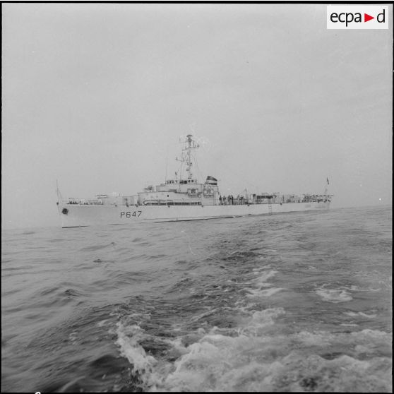 Alger. Port. L'escorteur côtier "L'enjoué" (P647).