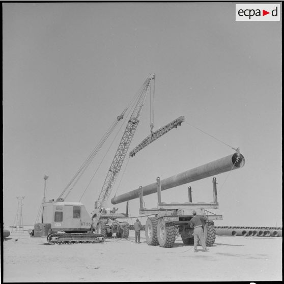 Sahara. Les tubes des pipe-lines sont ensuite disposés pour leur transport sur des camions aménagés spécialement.