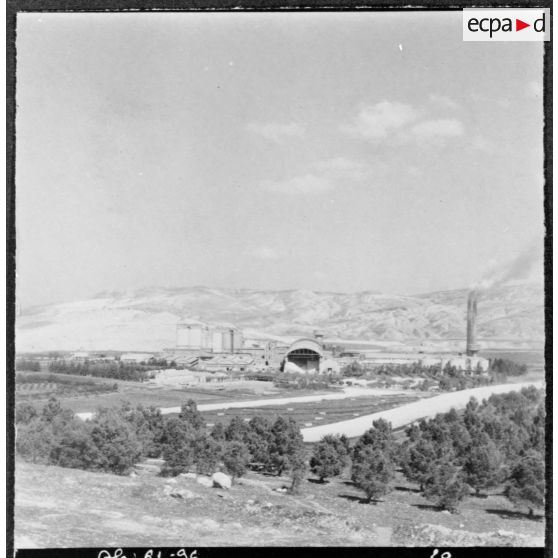 Saint-Lucien. Usine CADO (ciments artificiels d'Oranie).