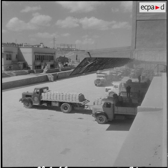Saint-Lucien. CADO (ciments artificiels d'Oranie). Départ en camion des sacs de ciment.