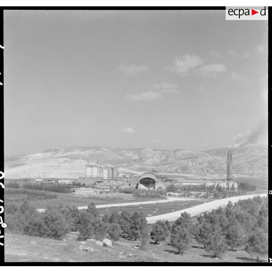 Saint-Lucien. Usine CADO (ciments artificiels d'Oranie).