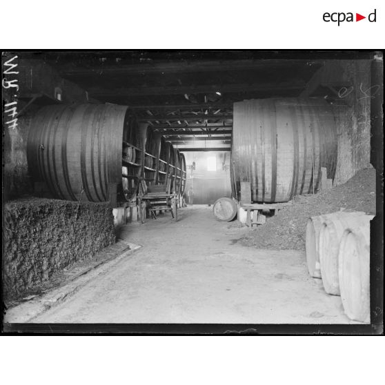 Béziers. Hérault. Une cave. [légende d'origine]