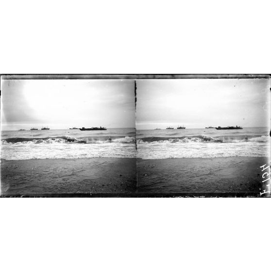 Le débarquement de mulets. [légende d'origine]