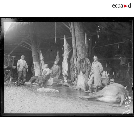 La-Neuville-Sire-Bernard, boucherie militaire, abattage des vaches. [légende d'origine]