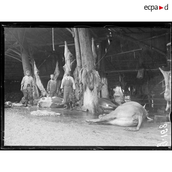 La-Neuville-Sire-Bernard, boucherie militaire, abattage des vaches. [légende d'origine]
