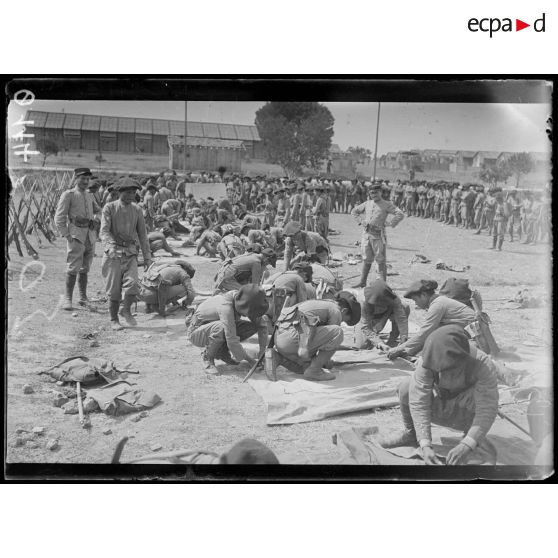 Valescure. Var. Tonkinois. Le montage des tentes. [légende d'origine]