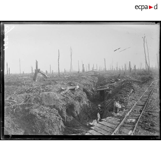 Au bois de Deniécourt, boyaux de communication, ancienne position allemande. [légende d'origine]