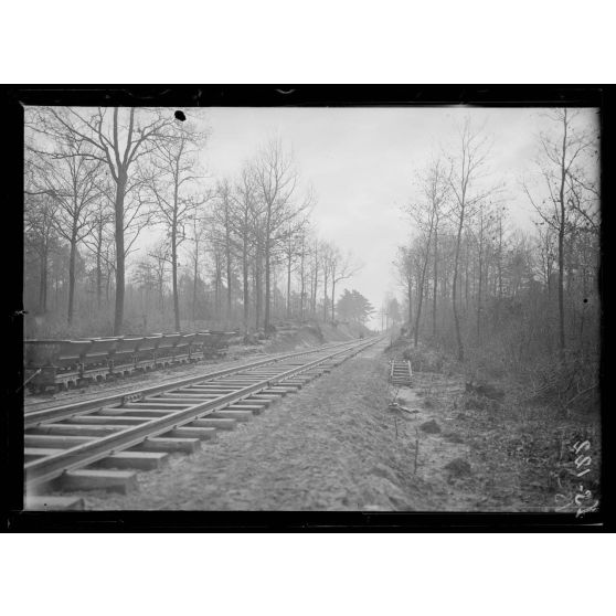 Région de Breuil-sur-Vesle, Marne, construction d'une voie ferrée dans le bois des Venteaux. [légende d'origine]