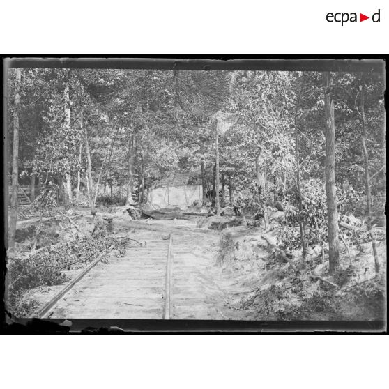 [Une voie ferrée camouflée.]