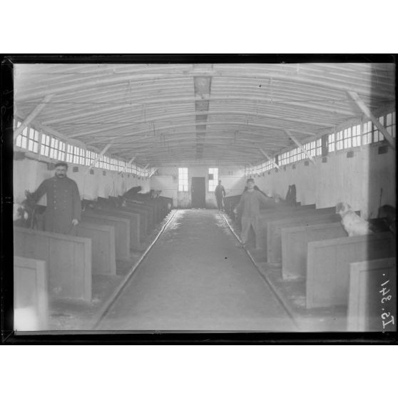 Saint-Cyr, Seine-et-Oise, le chenil. [légende d'origine]