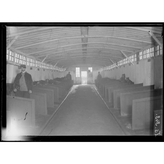 Saint-Cyr, Seine-et-Oise, le chenil. [légende d'origine]