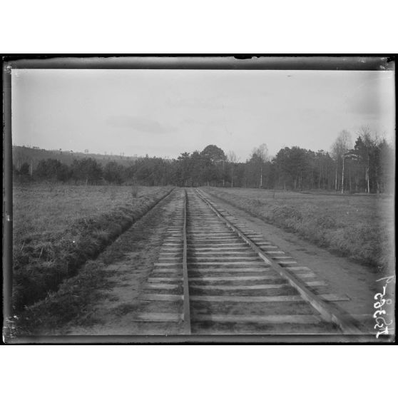 Région de Chenay, Marne, fausse voie en bois conduisant aux faux canons de bois. [légende d'origine]