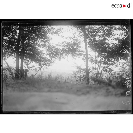 Région de Craonne. Vue prise sur le Plateau de Triangulaire. [légende d'origine]