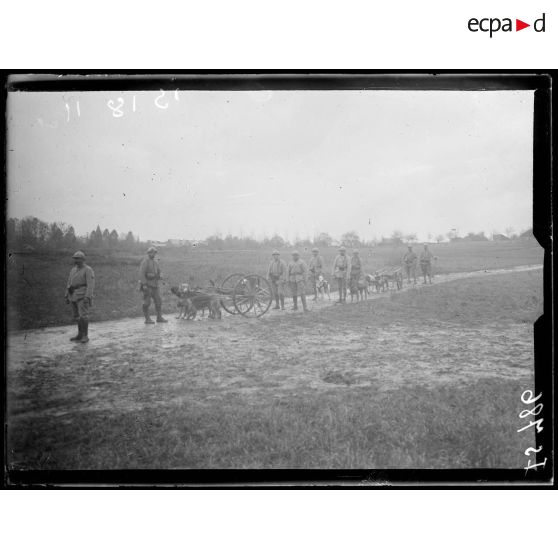 Fismes, Marne, artillerie de tranchée trainée par des chiens. [légende d'origine]