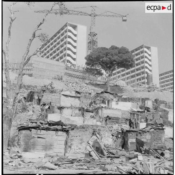 Alger. Démolition des bidonvilles de la cité Vinci.