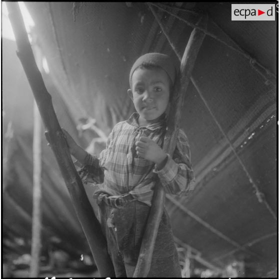 Mecheria. Portrait d'un enfant nomade dans une raïma (tente).