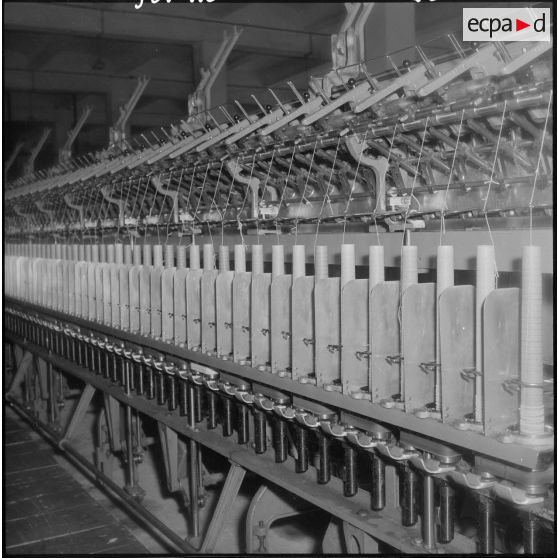 Tlemcen. Fabrique de tapis et de couvertures. Filature.