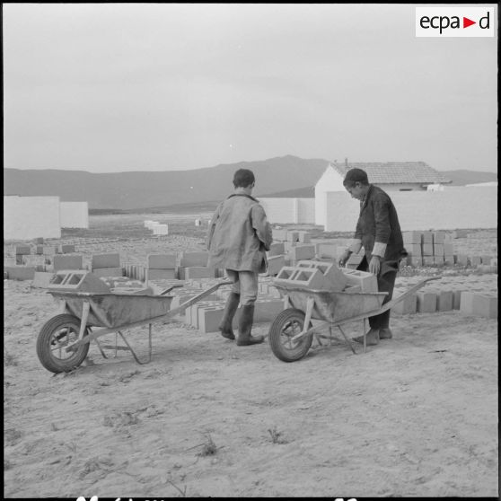 Région de Bône. Chantier du moulin de Fetzara, jeunes participant à la construction de leur maison.