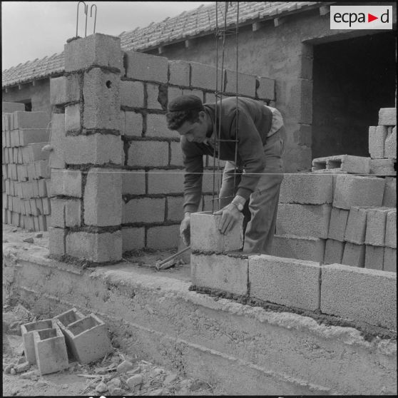 Aïn Smaza. Au chantier pendant la construction du mur séparateur d'une maison.