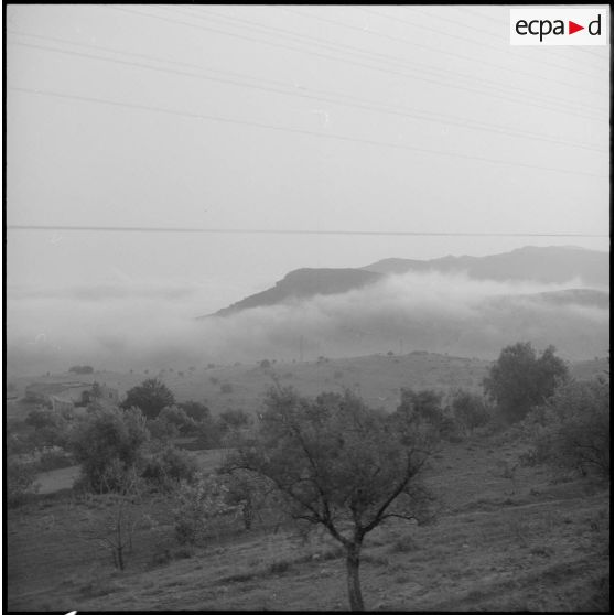 Vue des monts de Tlemcem au petit matin.
