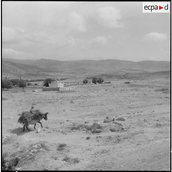 Le village des monts de Tlemcem.