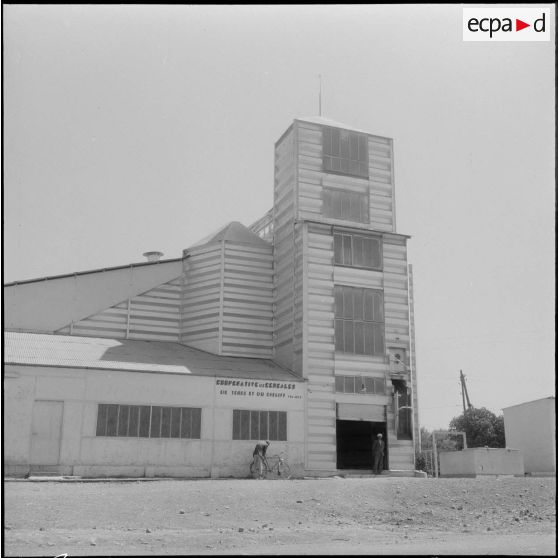 Vue de la coopérative de céréales d' Oued Fodda.