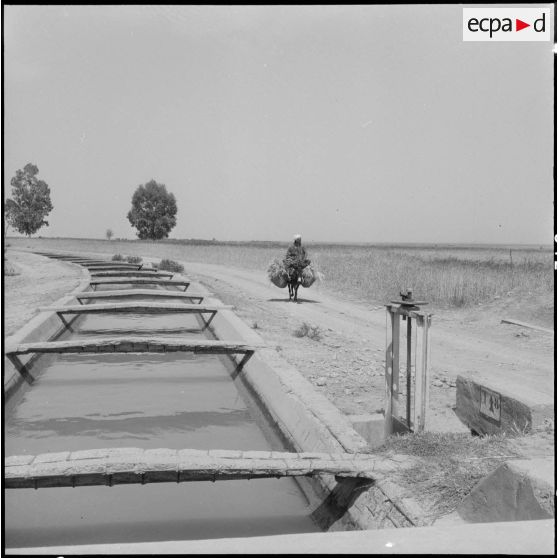 Un canal d'irrigation.