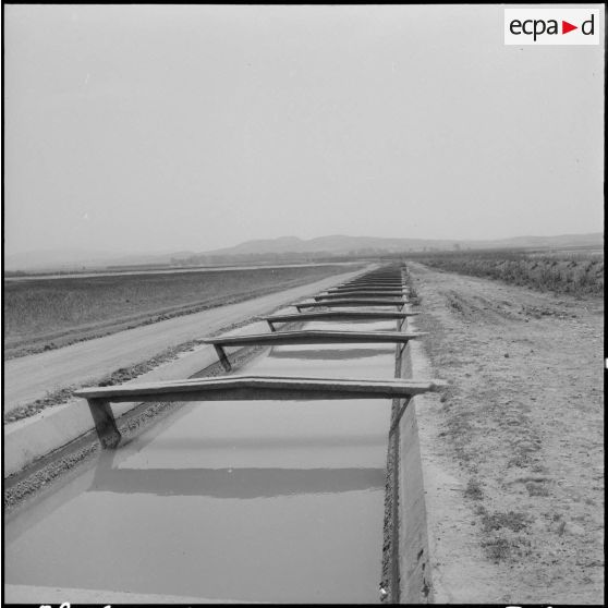 Un canal d'irrigation.