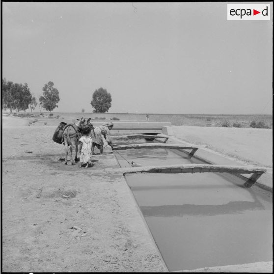 Un enfant remplissant des tonneaux.