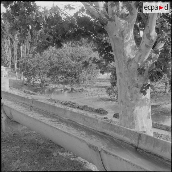 Irrigation du terrain.