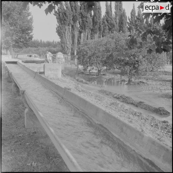 Un canal d'irrigation.