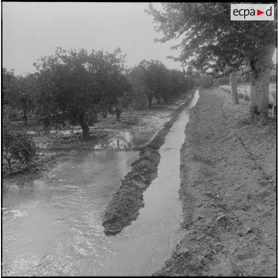 Irrigation du terrain.