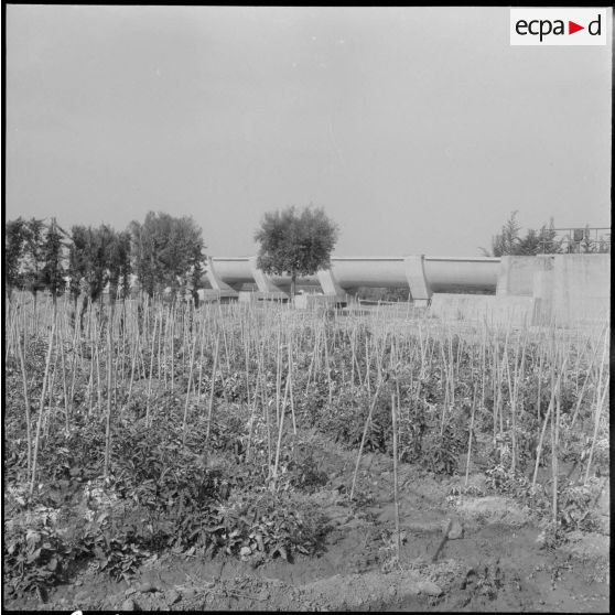 Un domaine agricole.