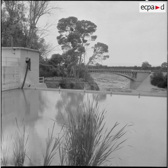 Le déversoir de Relizane.