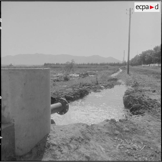 Irrigation du terrain.