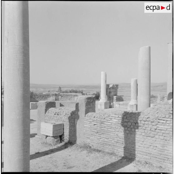 Vue de la bibliothèque.
