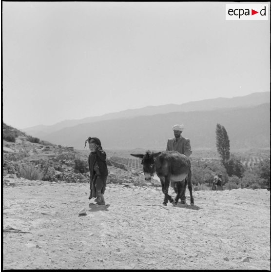Un enfant traînant, l'âne en compagnie de son père.
