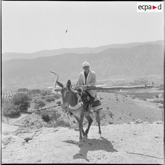 Un cultivateur, traînant sa charrue sur le dos de son âne.