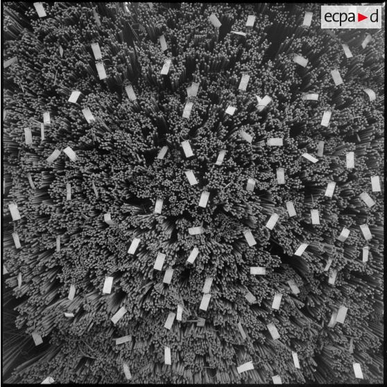 Etiquetage de chaque paquet de barres et de ronds TOR.