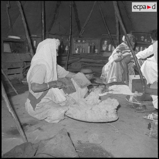 Cardage de la laine.