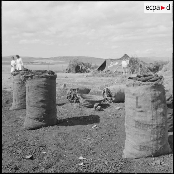 Les sacs de charbon de bois.