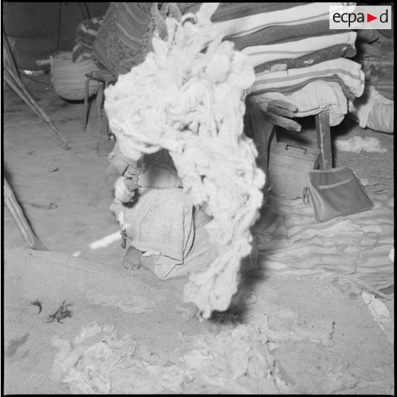 Le battage de la laine pour la fabrication des couvertures.