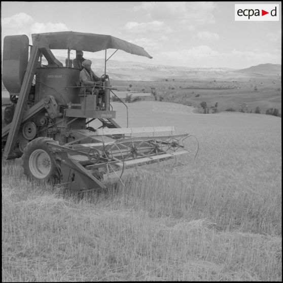 Les ouvriers, travaillant avec la moissonneuse.