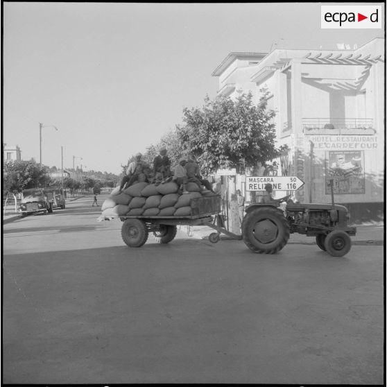 Les sacs de blé, rentrant à l'abri avant leurs expéditions vers les coopératives.