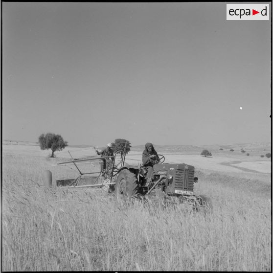 Les ouvriers, travaillant avec les machines agricoles.